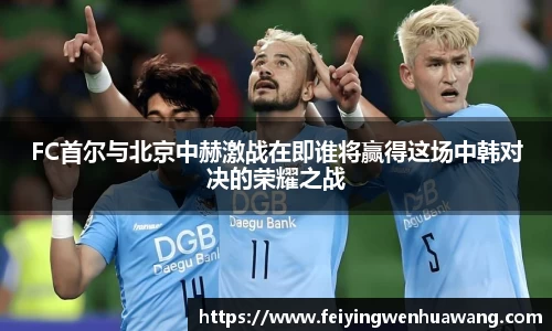 FC首尔与北京中赫激战在即谁将赢得这场中韩对决的荣耀之战