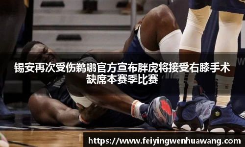 锡安再次受伤鹈鹕官方宣布胖虎将接受右膝手术缺席本赛季比赛